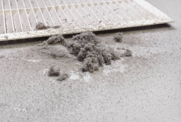 Best Air Vent Cleaning Services  in Manchester, OH